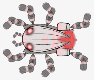 Blimp Spider Mech - Bloons Blimp