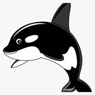 Orca Whale Clipart Orca Whale Clipart Clipart Panda - Killer Whale Cartoon Png