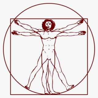 600 X 600 1 - Vitruvian Man Clipart