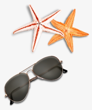 Beach Elements Sunglasses Starfish Free Clipart Hd - Beach Elements Psd Free