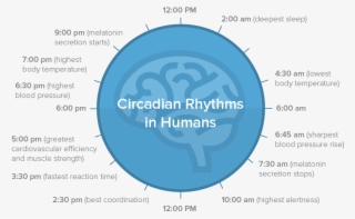But When We're Staring Into Our Computer Screens, The - Circle