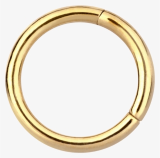 Segment Ring - Body Jewelry