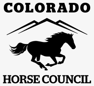 Colorado Horse Council Membership - Hampshire