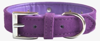 Purple With Diamantes - Buckle