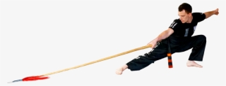 Benefits Include - - Pole Vault