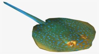 Bluespotted Ribbontail Ray Zerosvalmont Zt2 - Bluespotted Ribbontail Ray Png