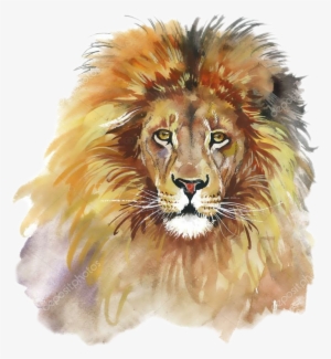 Quadro Cordeiro E Leao