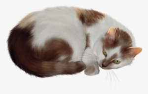 Transparent Cat Clipart - Transparent Background Cat Clipart