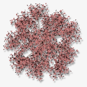 06 Feb 2009 - Gravel