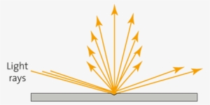 Light Rays - Sharp Edge - Pungency