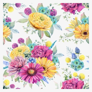 This Backgrounds Is Hand Painted Colored Chrysanthemum - African Daisy