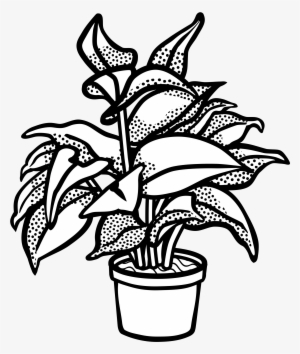 Watercolor Potted Plants Clipart, Potted Plants, Cactus, - Clip Art Black And White Plant