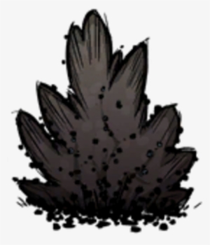 Diseased Berry Bush - Disease