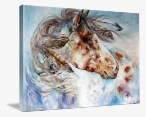 "thunder Appaloosa Indian War Horse" By Marcia Baldwin