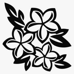 Hawaiian Flowers Clip Art - Black And White Plumeria Flower