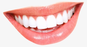 Teeth Png