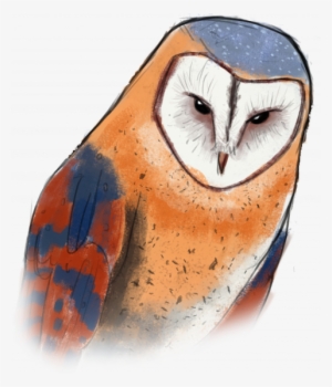 [wip] Low-poly Island - Barn Owl