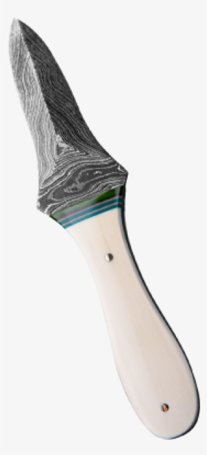 Edisto Island, South Carolina