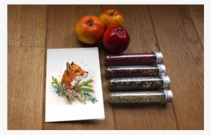 Watercolor And Black Copic Liner