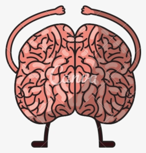 Clip Art Stock Png Free Download Best On Clipartmag - Human Brain