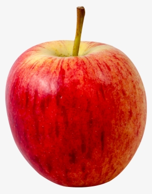 Apple Fruit Png Transparent Image - Cameo Apples