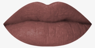 Liquid Lipstick - Boy Trapped - Lipstick