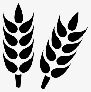 Wheat Svg Png Icon Free Download - Agriculture Symbol Black And White