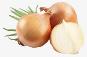 Z Natural Foods Onion Powder - Organic 5 Lbs