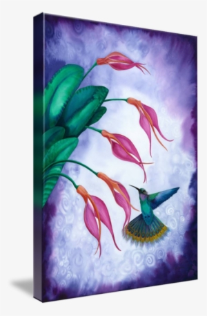 "hummingbird And Orchid Watercolour" By Savanna Redman - Painting