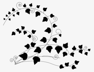 Free Ivy - Ivy Clipart Black And White