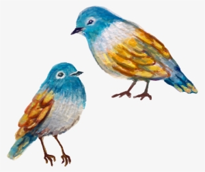 Finch Painting Birds Transprent - Bird Painted Transparent