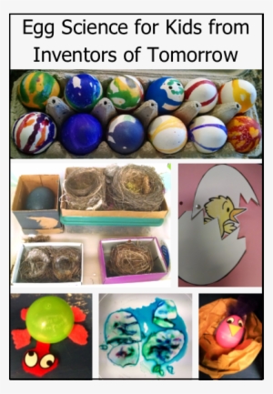 On This Saturday In Spring, Our Class Theme Was Eggs - Hands-on Stem (paperback Set Of 8)