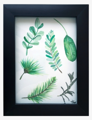 Fern Clipart Watercolor - Picture Frame