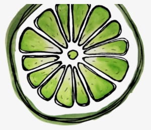 Watercolor Fruit Slices Fabric By Areckewey On Spoonflower - Circle