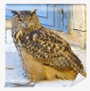 A Large European Eagle Owl Posing During A Trade Fair - Europe