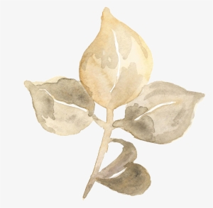 Hand Painted Three Pieces Of Blooming Leaves Transparent - Design