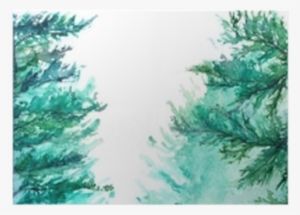 Watercolor Turquoise Winter Wood Forest Pine Landscape - Acuarela Bosque Pinos