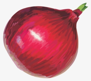 Red Onion Clipart