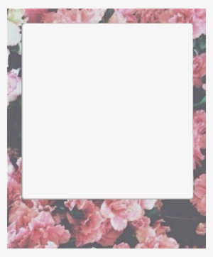 Overlays Transparent ♥ Polaroid~ Nta - Polaroid Frame Tumblr Png