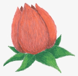 Rosebud - Flower Bud Clip Art