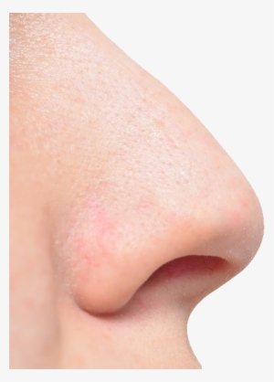 Human Nose Png - Nose Png