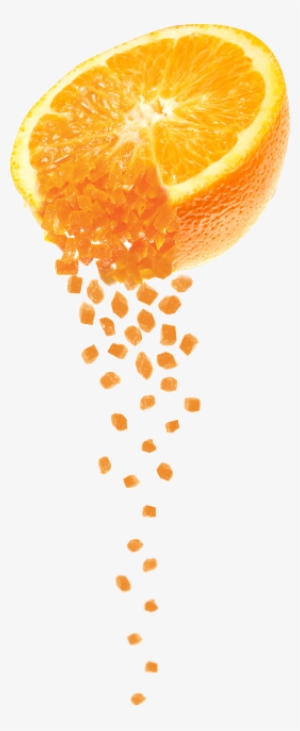 Fruit Group By Megan Borgert-spaniol