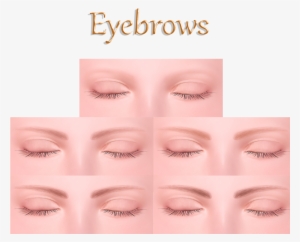 Eyebrow Png Download - Eye Shadow