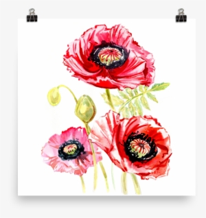 Bright And Floral Poppy Watercolour Matte Poster - Watercolor Painting