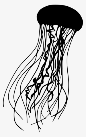Png File Svg - Jellyfish Svg