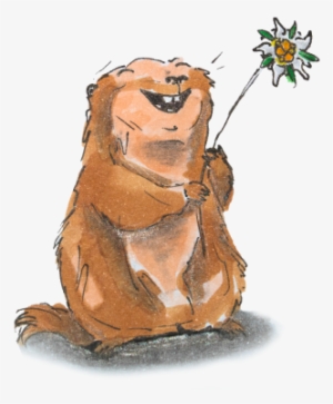 Murmeltier Mit Edelweiß - Masai Lion