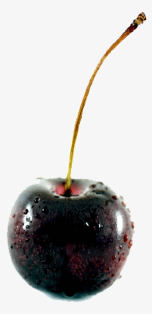 Black Cherry Png File - Black Cherry