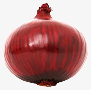 Download Red Onion Png Image - Red Onion Transparent Background