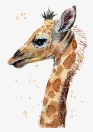 Giraffe Baby Watercolor T