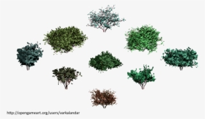 Hjm Bushes 06 Alpha - Shrub